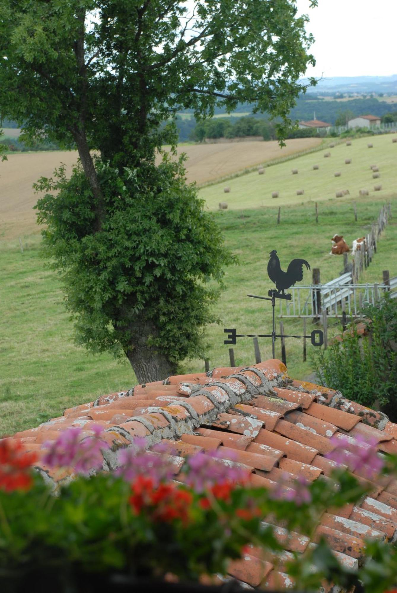 Bed and Breakfast Chez Jacotte Et Elia Saint-Galmier Zewnętrze zdjęcie