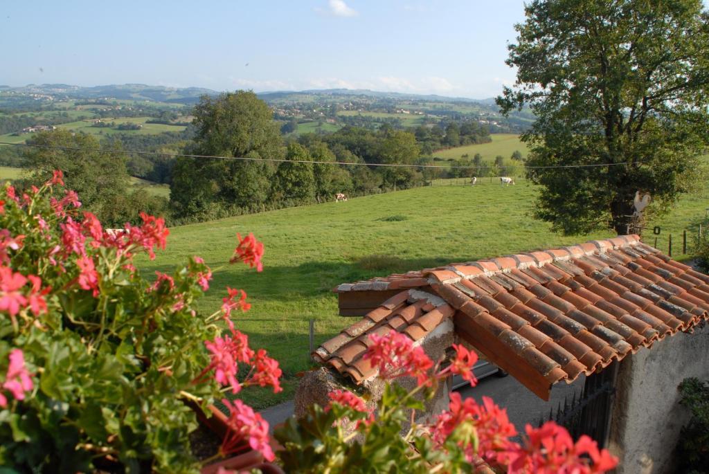 Bed and Breakfast Chez Jacotte Et Elia Saint-Galmier Zewnętrze zdjęcie